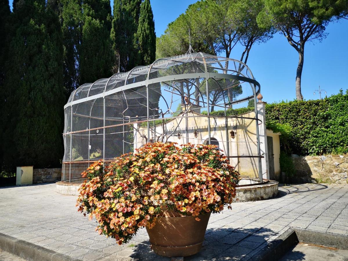 Villa Bellaria Campagnatico Kültér fotó