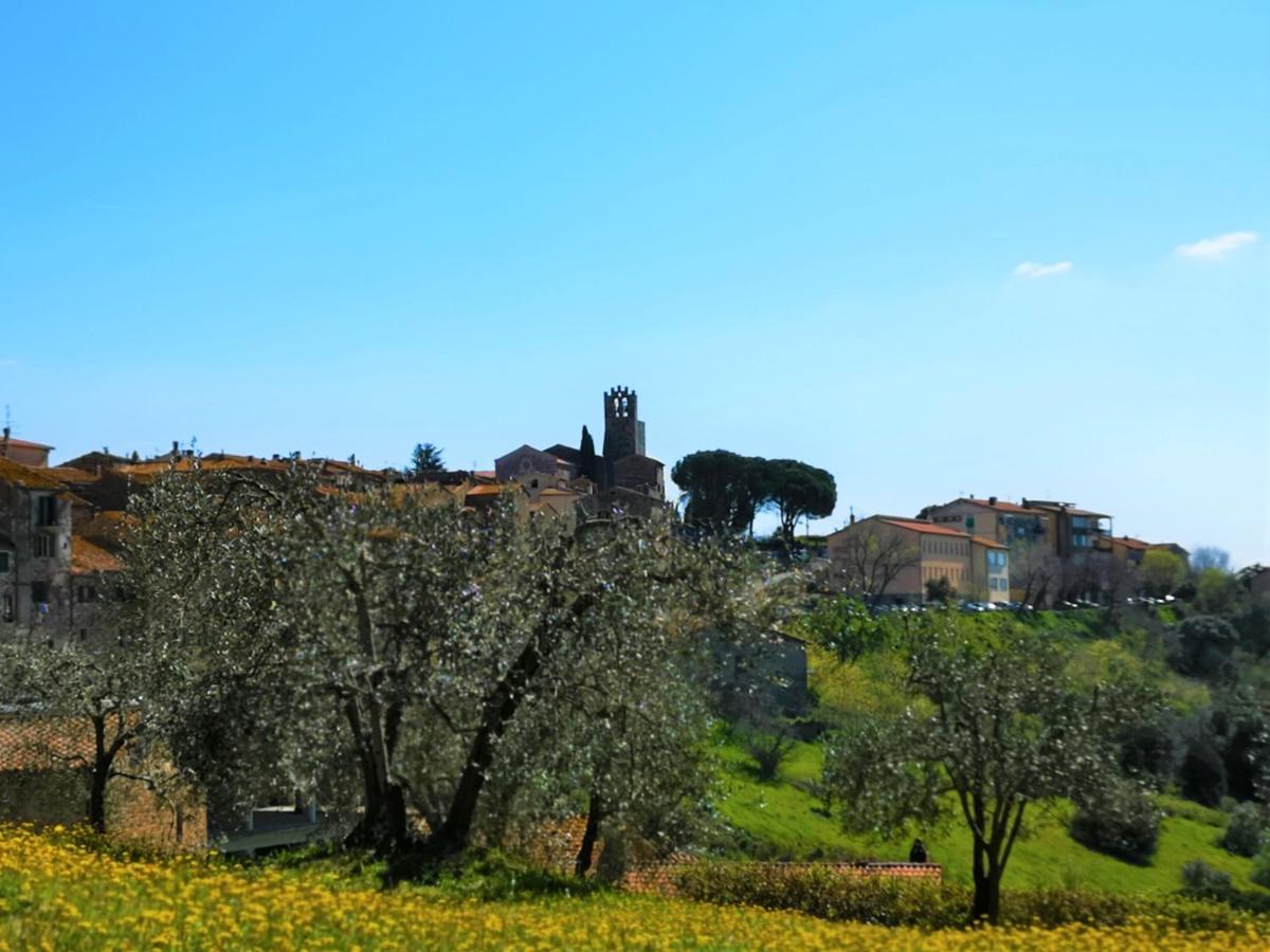 Villa Bellaria Campagnatico Kültér fotó